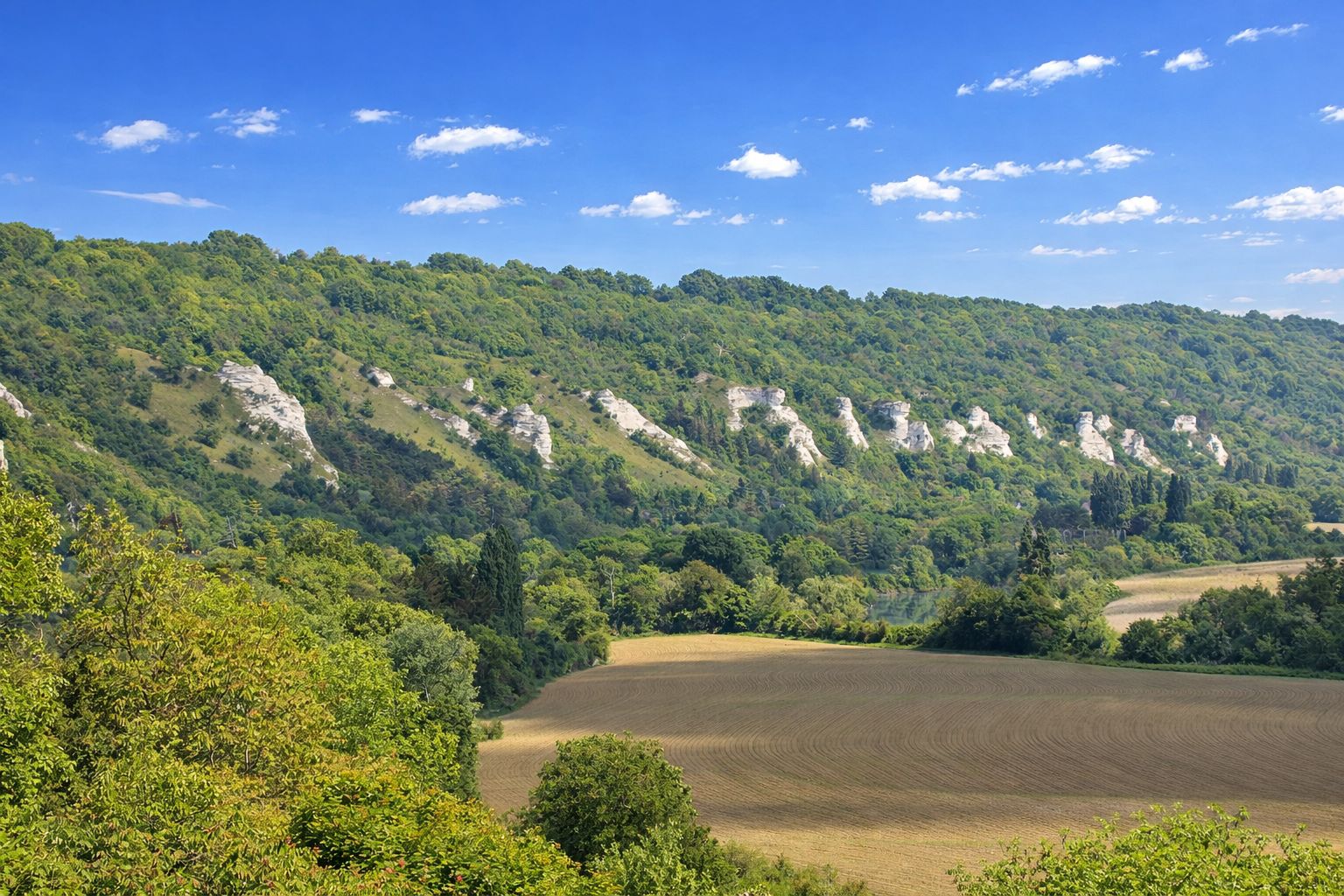 Falaises calcaires, vue depuis la route de la crête