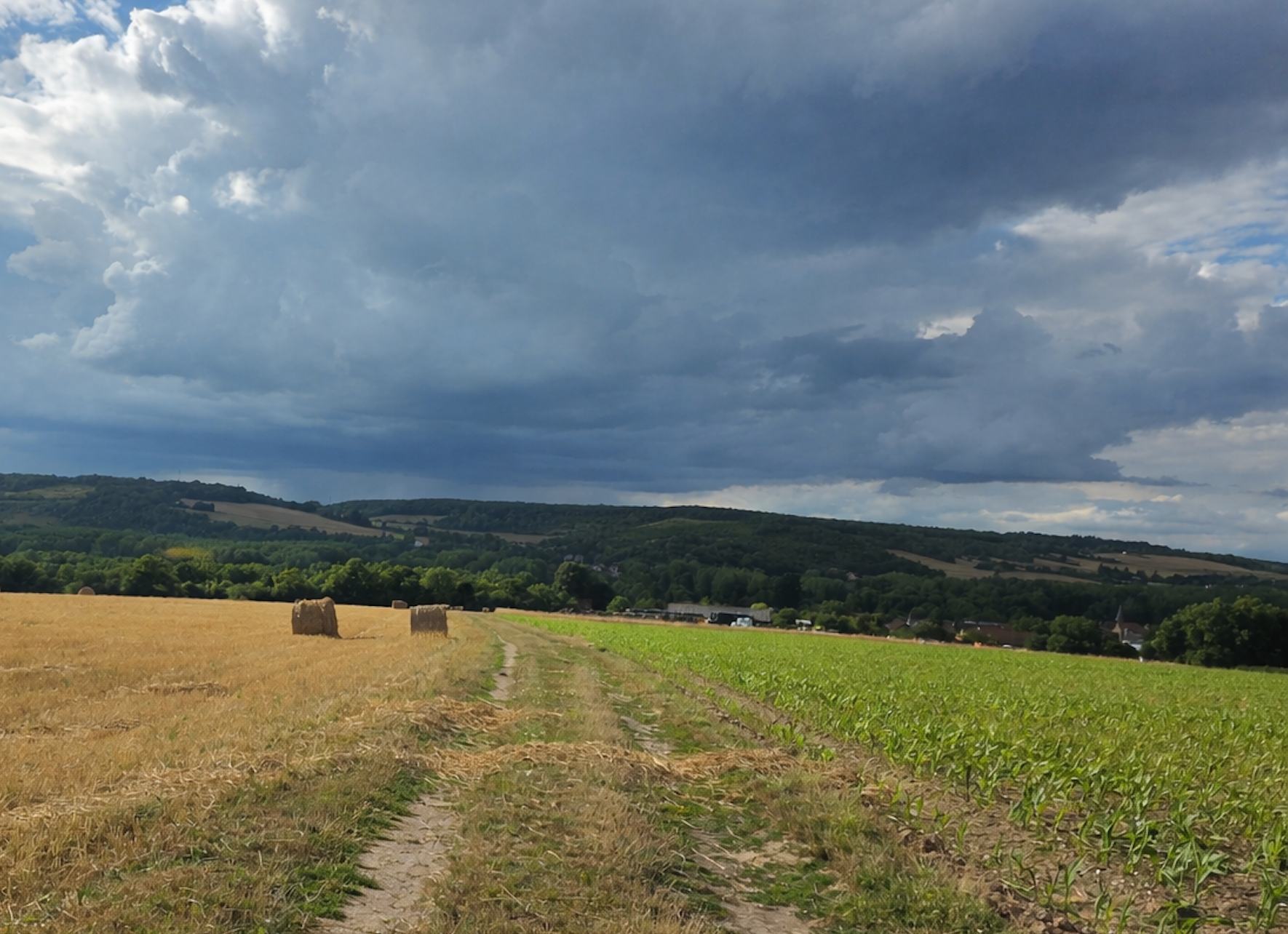 Vue-Gommecourt Vue-Gommecourt